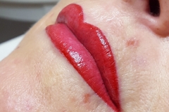permanent-make-up-lippen-bio-tek-rot